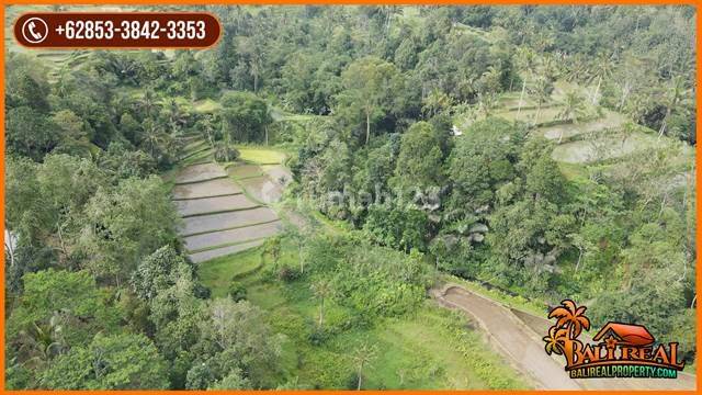 River and Jungle View on the Side of the 28,000 M2 Asphalt Road in Marga 2