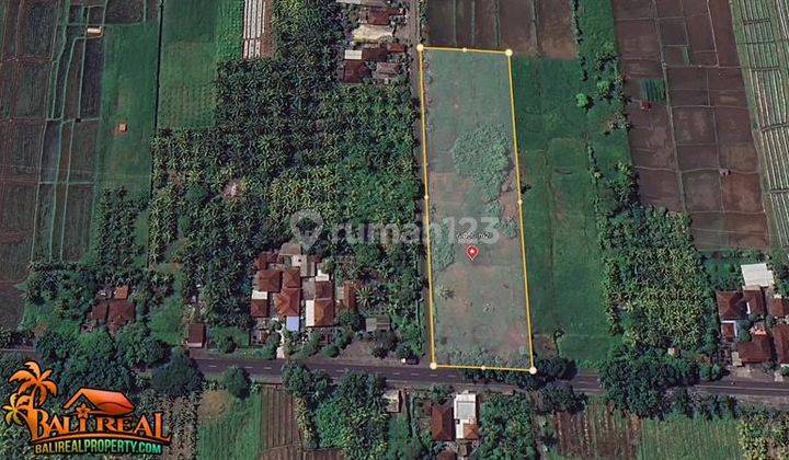 Dijual Lahan 6,050 m2 Pinggir Jalan Provinsi cocok untuk Komersil 2