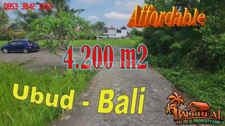 Tanah Murah 43.0 Are Kontur Datar di Sukawati Ubud 1