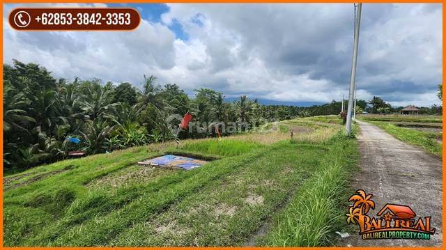 25 Are Rice Field Land Near Margarana Heroes Park 2