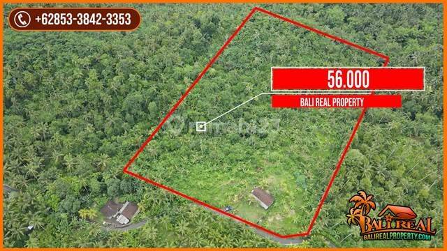 View Hutan Dan Gunung Semi Kotak 56.400 M2 di Yeh Embang 2