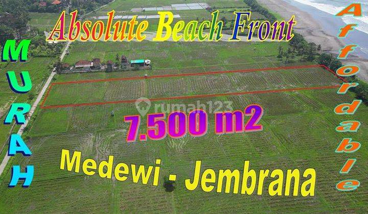 Harga di Bawah Pasaran 75 Are Tanah Tepi Pantai di Medewi 1