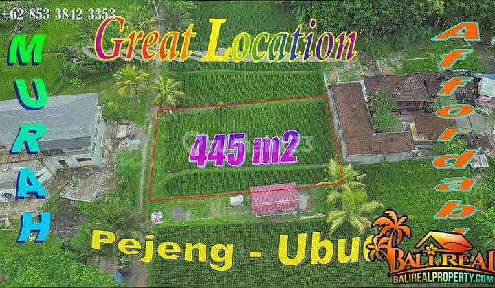 View of Rice Fields and Forest 445 M2 for Residence in Pejeng Ubud 1