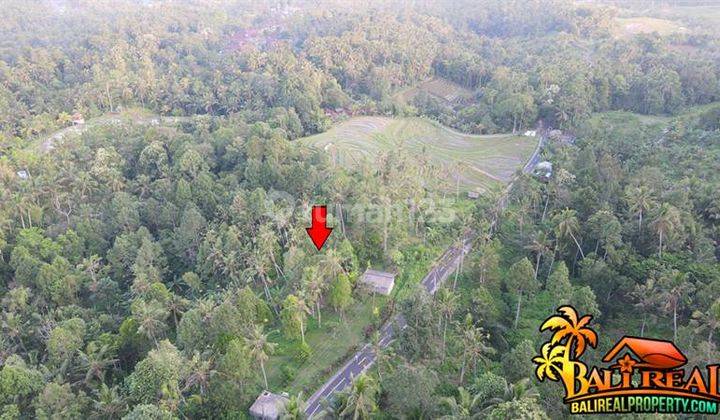 141 are Tanah Relatif datar berkontur landai area Gunung Salak 2