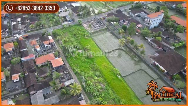 Dijual Nett Tanah Pinggir Jalan Seluas 4,000 M2 2