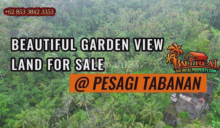 For Sale Cheap 3,000 M2 Garden Land in Penebel Tabanan 1