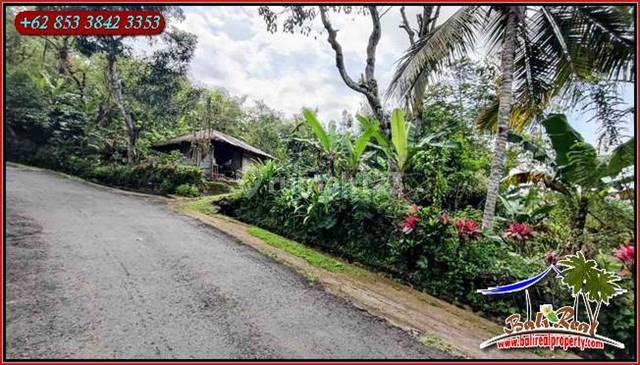 View Gunung Dan Hutan 15,800 M2 di Pupuan Tabanan 2