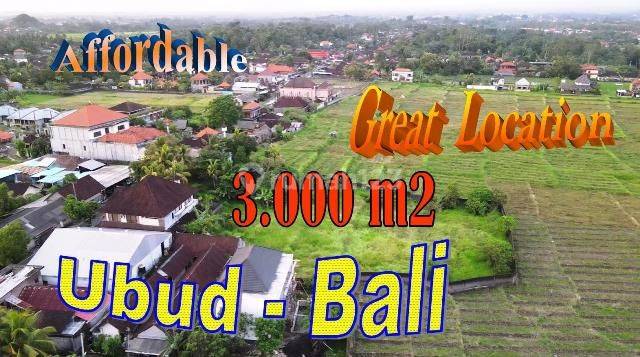 3,000 M2 of Land in Ngantong with Good Contour on the Side of Lodtunduh Road 1