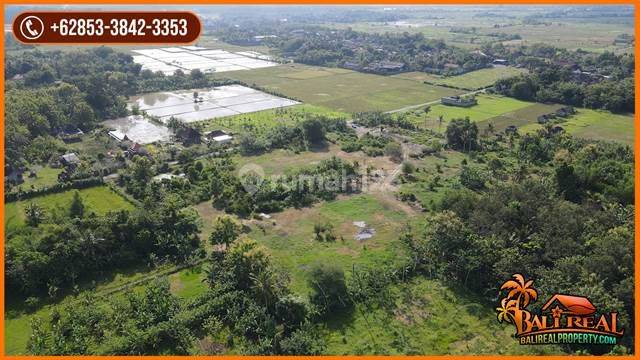 Dijual Lahan 24.490 m2 Pinggir Jalan Aspal 2