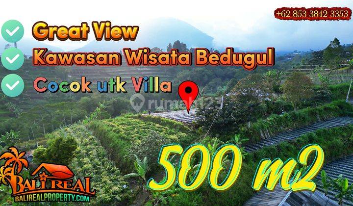 View Perkebunan, Gunung Dan Kota Denpasar 500 M2 di Baturiti 1