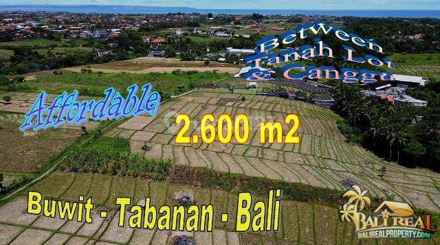 Cheap 26 Are Strategic Rice Field and Mountain View in Kediri 1