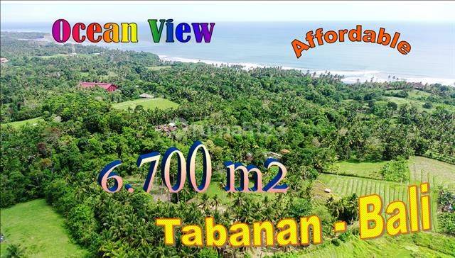 For Sale 67 Are Farm Land with Rice Field and Sea View in West Selemadeg 1