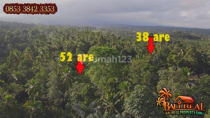 Akses Jalan 5 Meter Lokasi Penebel 93 Are dekat Pura 2