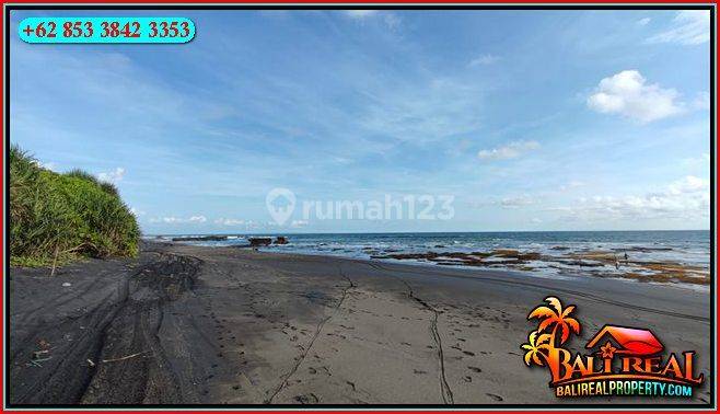 Langka, Murah 45 Are Beachfront View Sawah Area Selemadeg Timur 2