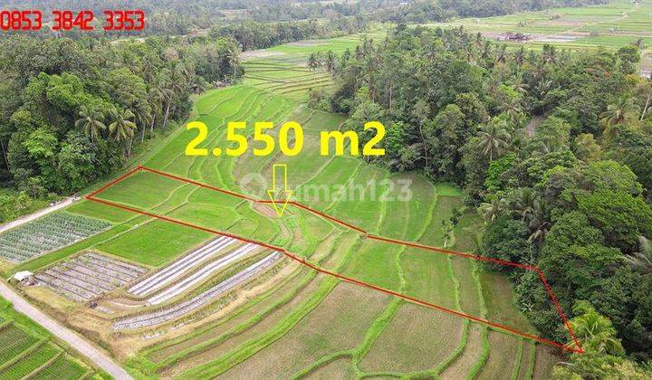 Strategis 25.5 Are Sawah Gunung, Sungai Dan Hutan 2