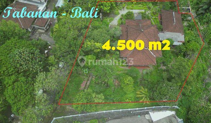 Dijual Tanah Kebun Dg 2 Bangunan Utama Dekat Kota Tabanan 2