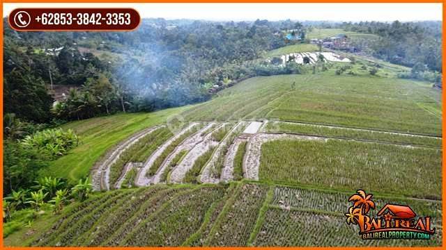 Dekat Wisata Air Terjun 104 Are Tanah Kebun di Wanagiri 2