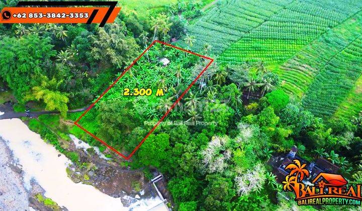 Langka, Murah 23 Are View Kebun, Pinggir Sungai Dekat Pantai 2