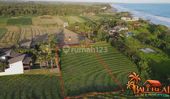 2,300 M2 Semi-Box Rice Field Land Near the Beach in Selemadeg 2