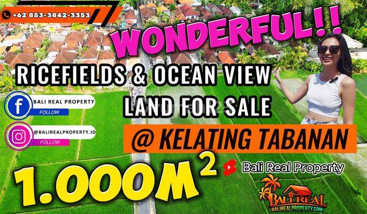 1,000 M2 View Sawah Dekat Pantai Kelating Dan Wisata Tanah Lot 1