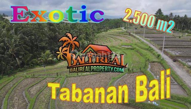 25 Are Rice Field Land Near Margarana Heroes Park 1