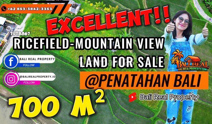 700 M2 Tanah Kebun Bekas Sawah Dijual Murah di Penebel 1