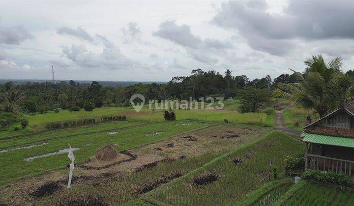 Akses Jalan Desa 30 Are Dominan Datar Area Penebel 2