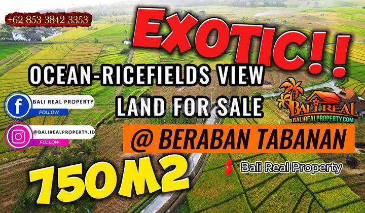 Lahan Semi Segitiga 750 M2 Cocok Untuk Hunian Area Beraban 1