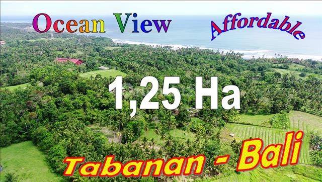 View of Rice Fields and Sea 12,500 M2 in West Selemadeg Tabanan 1