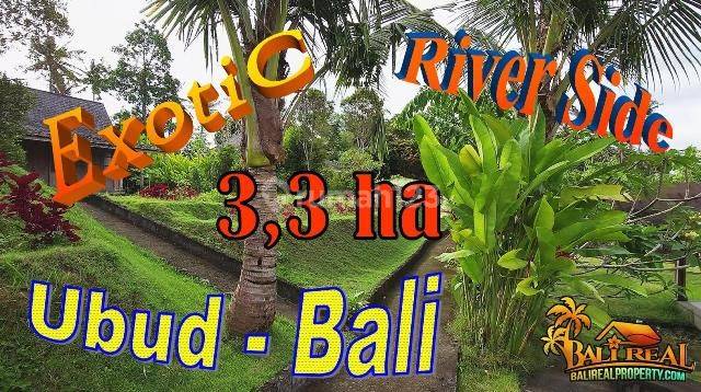 Tanah Kebun 3,3 Ha Dg Bangunan Villa Joglo Dan View Sungai Petanu 1