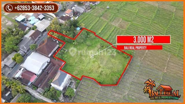 3,000 M2 of Land in Ngantong with Good Contour on the Side of Lodtunduh Road 2