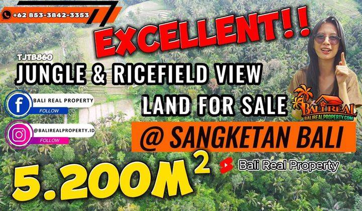 Rare Land For Sale Cheap 52 Are View Rice Fields And Forest 1