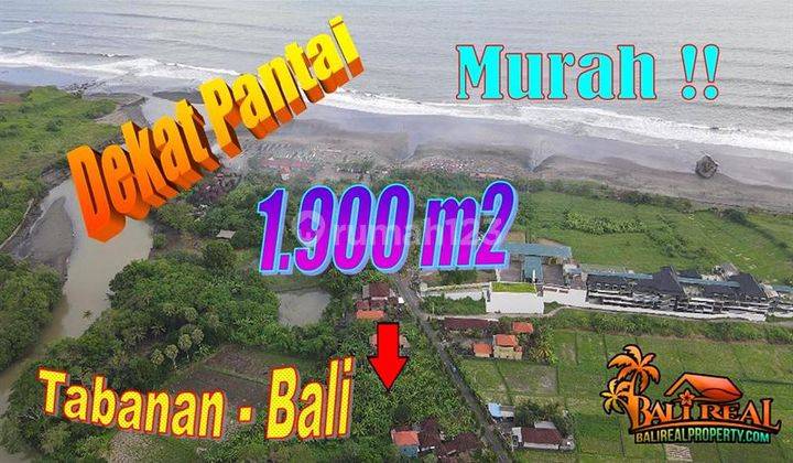 Lahan Murah 19 Are View Sawah Dan Laut di Sudimara Tabanan  1