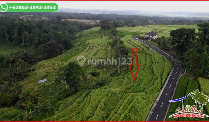 5,100 M2 Dominan Datar Tanah Sawah Murah Pinggir Jalan 2