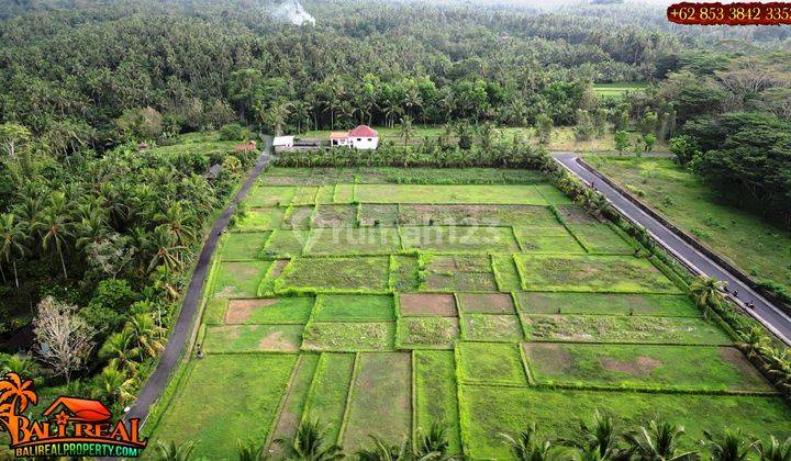 17 Are Tanah Kebun Bekas Sawah Pinggir Jalan di Penebel 2