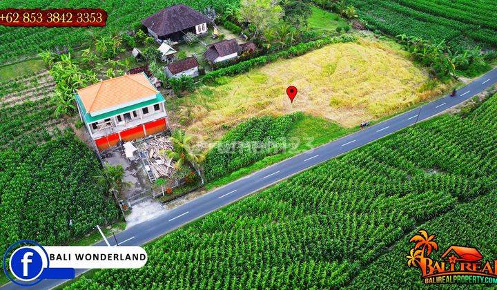 Pinggir Jalan Aspal Hotmix 750 M2 Untuk Hunian di Seltim 2