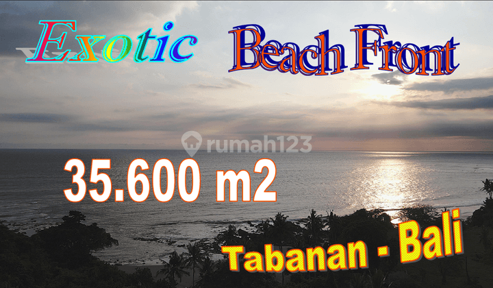 Rare, Cheap 356 Days Pocket Beach Area Antap Bonian 1