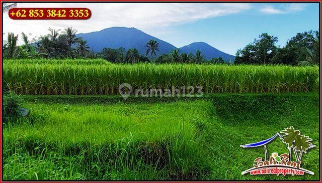 Strategis 27 Are View Sawah, Gunung Dan Laut Area Penebel 2