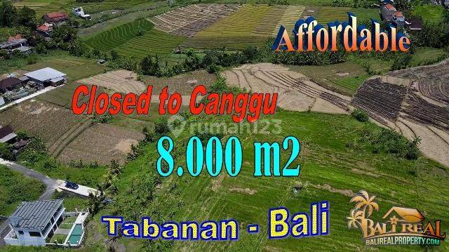 View Sawah Dan Gunung 8,000 M2 di Kediri, Tabanan 1