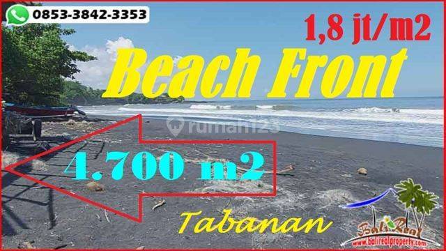 Dijual Tanah 4.700 M2 Sebelah Pantai Balian di Selemadeg Barat 1