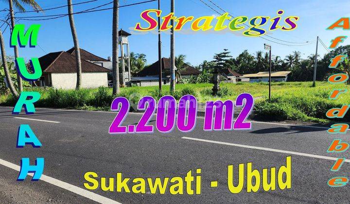 Murah 22.0 Are View Sawah Pinggir Jalan Raya di Sukawati Ubud 1