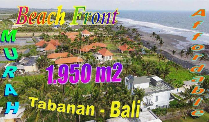 Tanah Tepi Pantai Beach Front 1,950 M2 di Kerambitan, Tabanan 1