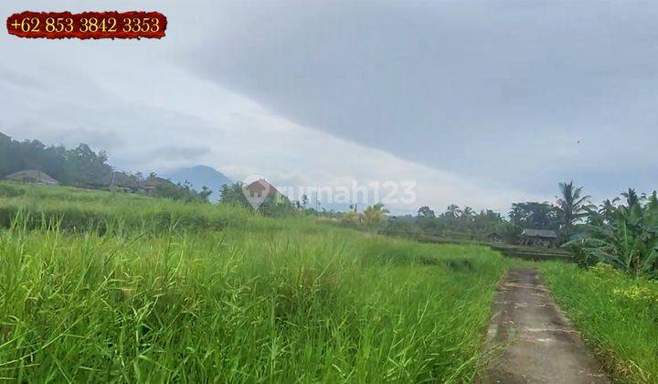 Potensial Area Penebel 7,700 m2 Akses Jalan Mobil 2