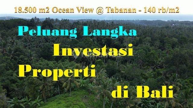 18,500 M2 Tanah Kering Kontur Mix Murah di Lalang Linggah 1