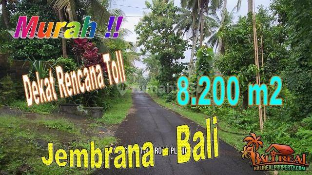 8,200 M2 View of Garden Near Planned Toll Area Gumbrih Pekutatan 1