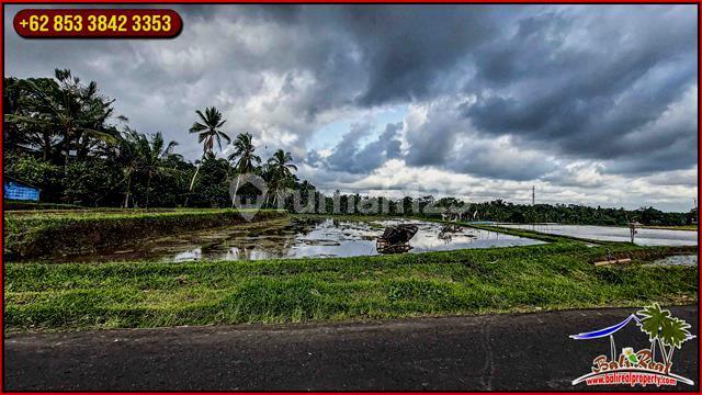 Dijual Murah 30 Are Lahan cocok untuk Villa Komersil 2