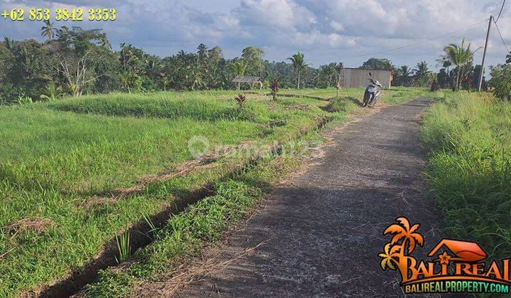 Lokasi Strategis 31 Are View Sawah Dan Gunung 2