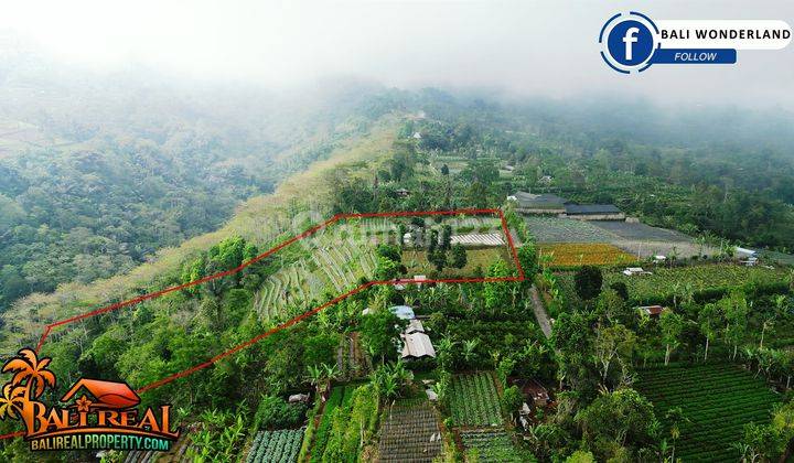 View Gunung, Lembah Dan Kota Denpasar 18,000 M2 di Baturiti 2