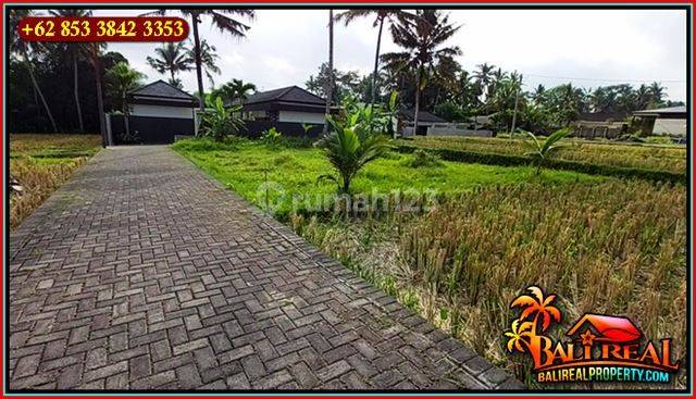 Potensial Untuk Villa Pribadi Lokasi Dekat Sentral Ubud 2