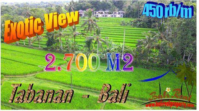 2.700 M2 Cocok Untuk Hunian View Bagus di Penebel Tabanan 1